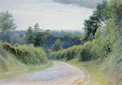 Warwickshire Lane tekijältä Thomas Clack